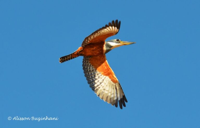 ecoadventures-atrativo-137-DSC_4849_GD-