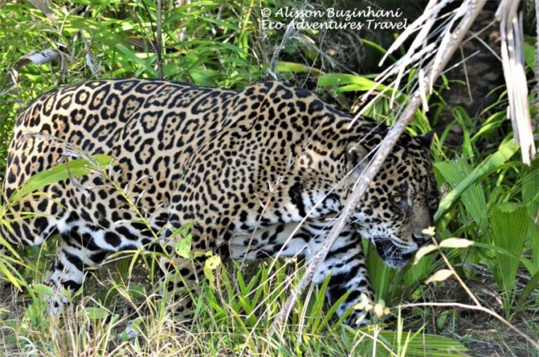 ecoadventures-atrativo-137-DSC_8932 (1024x678)_GD-