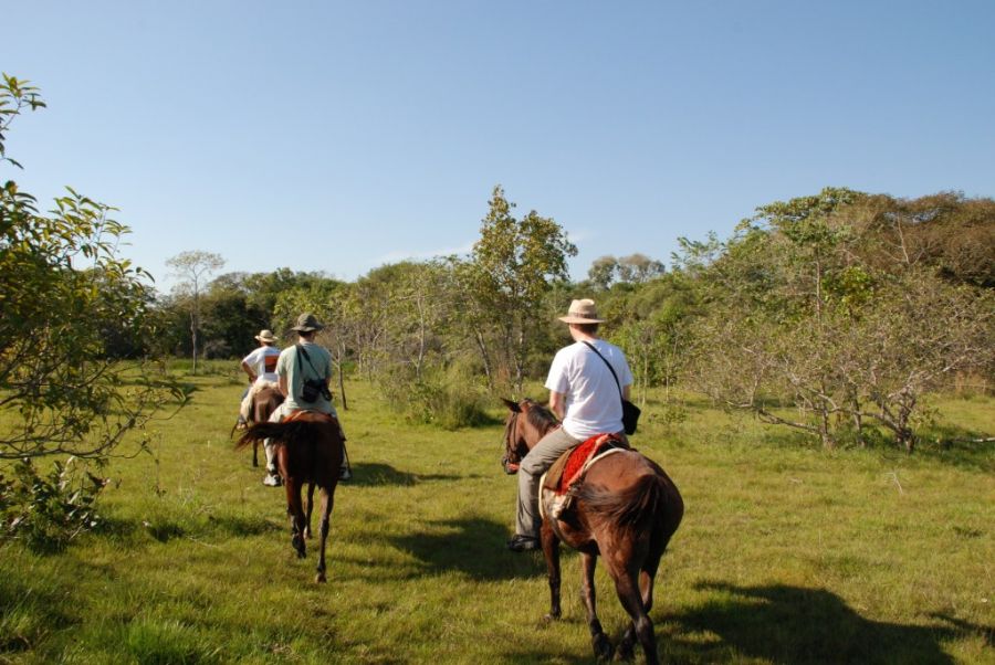 Cavalgada Pantanal - Eco Adventures Travel