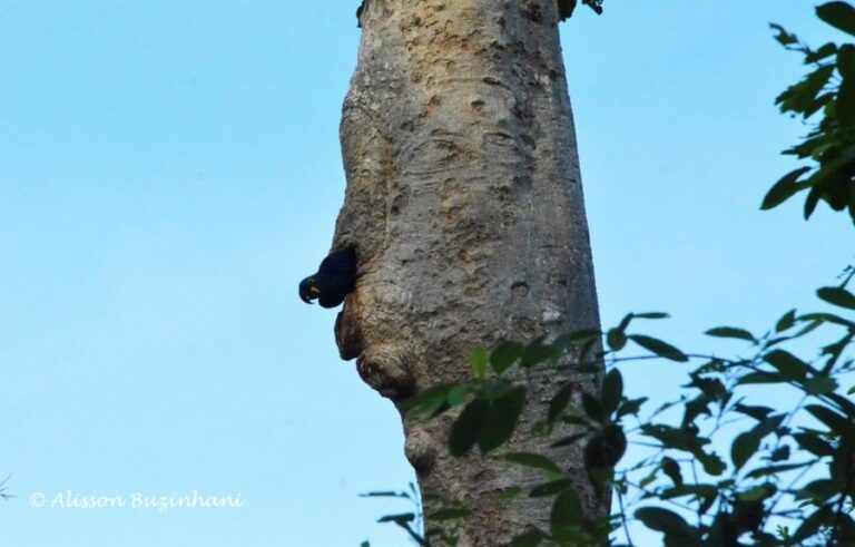 ecoadventures-atrativo-138-DSC_1185 (1024x654)_GD-