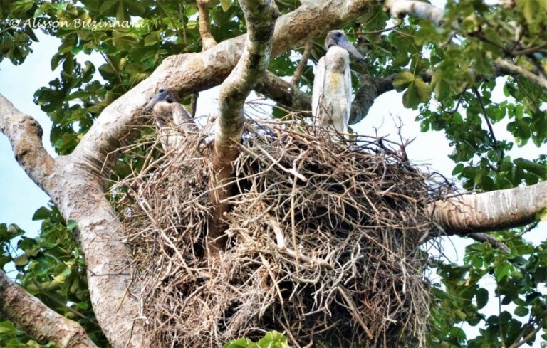 ecoadventures-atrativo-138-DSC_1188 (1024x652)_GD-