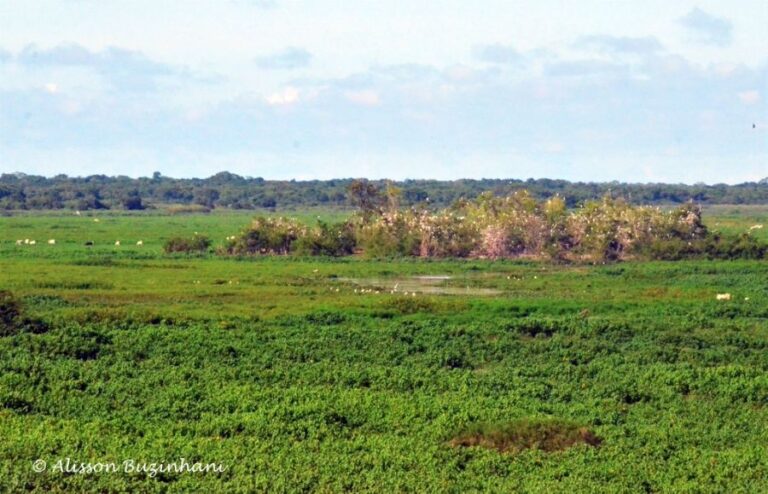 ecoadventures-atrativo-138-DSC_1215 (1024x659)_GD-