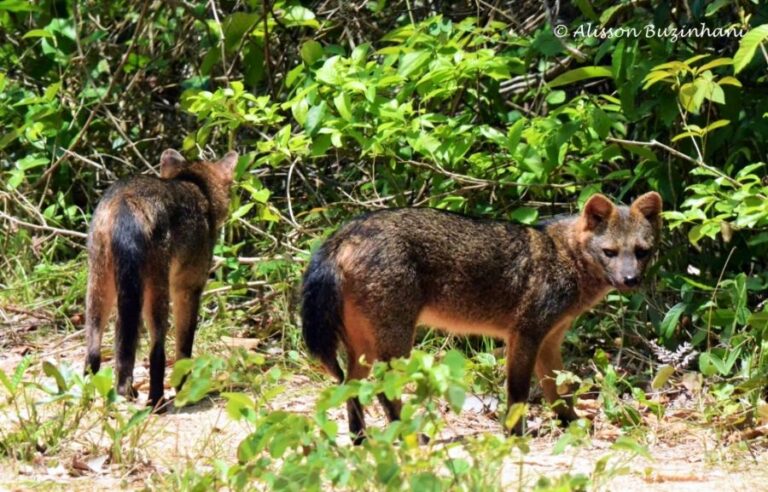 ecoadventures-atrativo-138-DSC_2026 (1024x657)_GD-