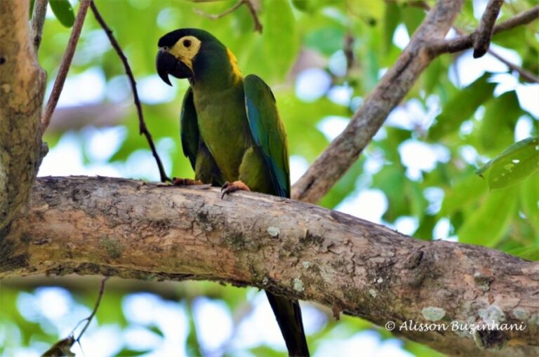 ecoadventures-atrativo-138-DSC_2066 (1024x678)_GD-