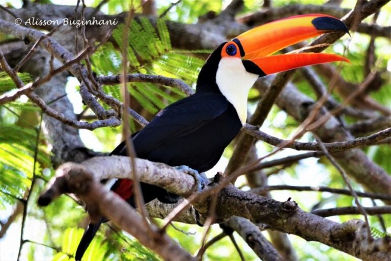 ecoadventures-atrativo-138-DSC_2948 (1024x685)_GD-