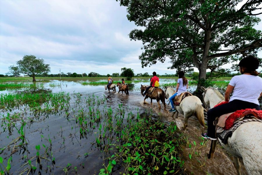 Cavalgada Pantanal - Eco Adventures Travel