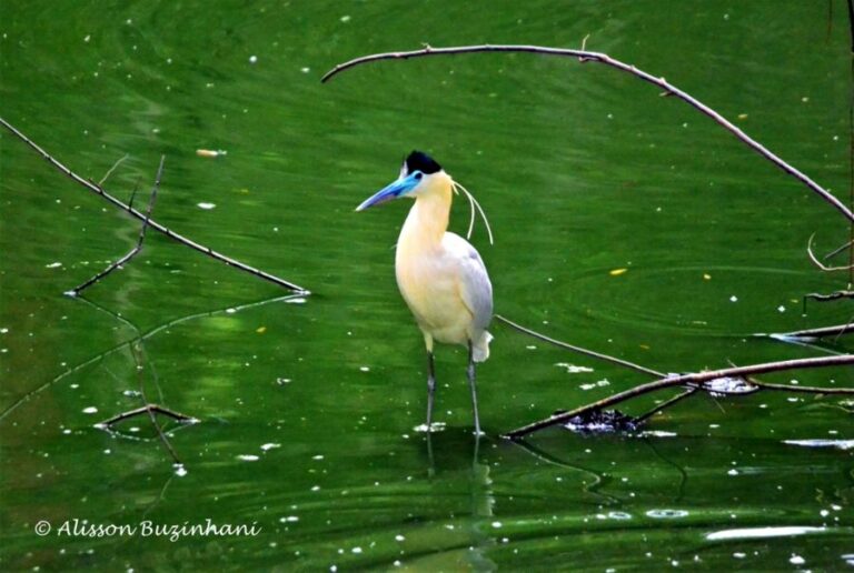 ecoadventures-atrativo-139-DSC_0949 (1024x688)_GD-