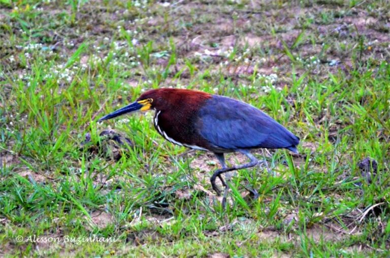 ecoadventures-atrativo-139-DSC_0988 (1024x678)_GD-