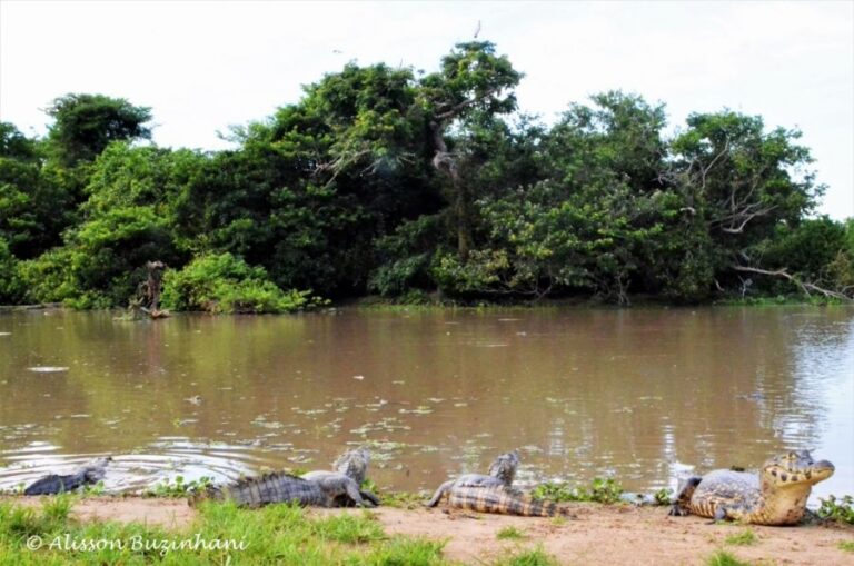 ecoadventures-atrativo-139-DSC_1201 (1024x678)_GD-