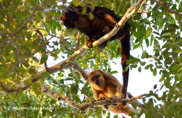 ecoadventures-atrativo-139-DSC_1856 (2)_GD-