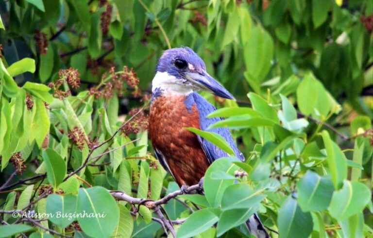 ecoadventures-atrativo-139-DSC_2228 (1024x654)_GD-