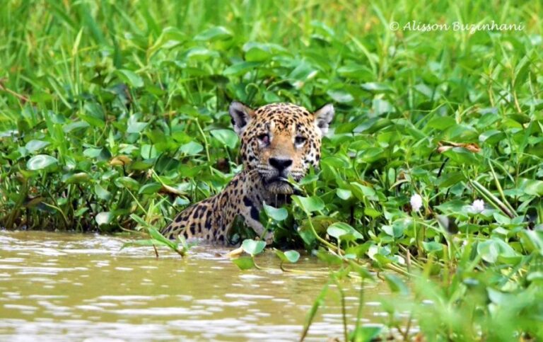 ecoadventures-atrativo-139-DSC_2702 (1024x644)_GD-