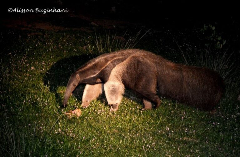 ecoadventures-atrativo-139-DSC_5967_GD-