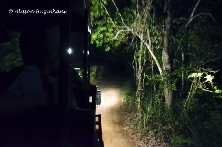 ecoadventures-atrativo-140-DSC_1773 (1024x678)_GD-