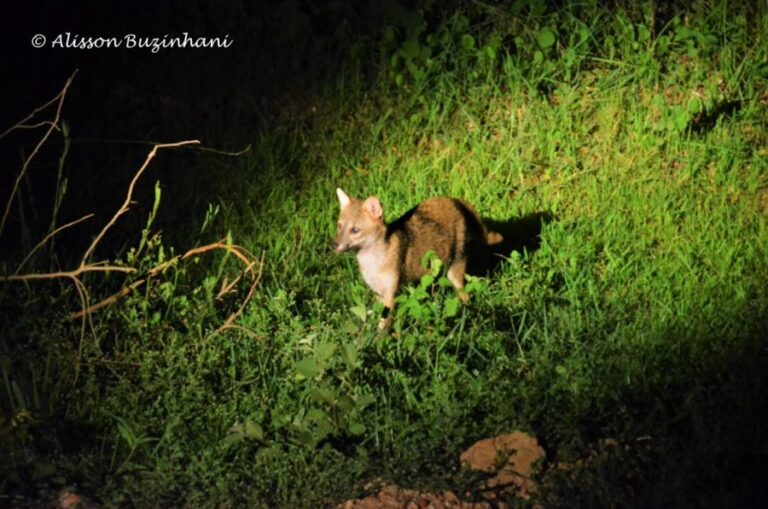 ecoadventures-atrativo-140-DSC_1818 (1024x678)_GD-