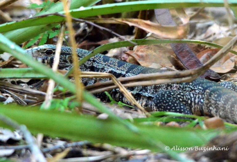 ecoadventures-atrativo-140-DSC_1977 (1024x700)_GD-