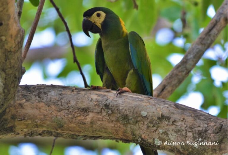 ecoadventures-atrativo-140-DSC_2066 (1024x697)_GD-