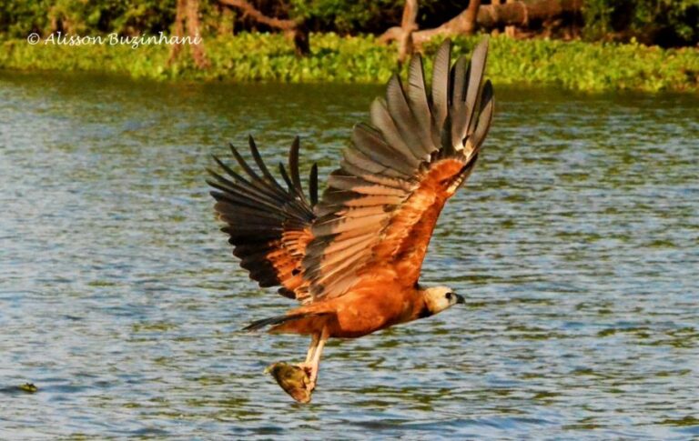 ecoadventures-atrativo-140-DSC_2285 (1024x646)_GD-