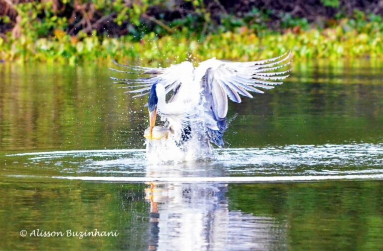 ecoadventures-atrativo-140-DSC_2342 (1024x670)_GD-