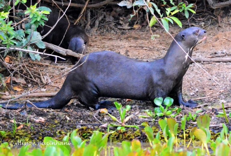 ecoadventures-atrativo-140-DSC_2593 (1024x692)_GD-