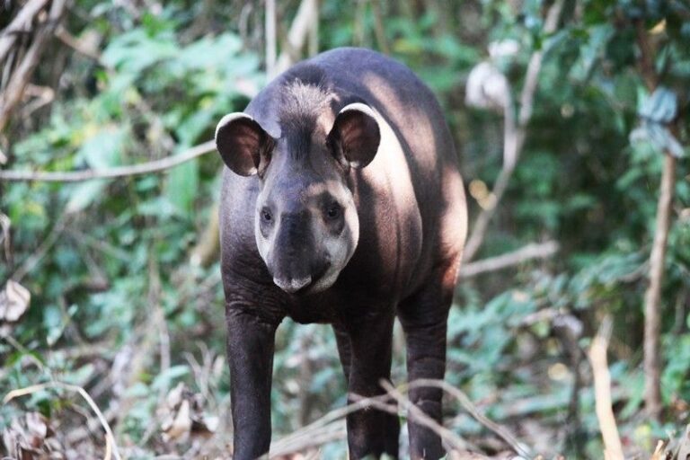 ecoadventures-atrativo-140-img-1396_GD-