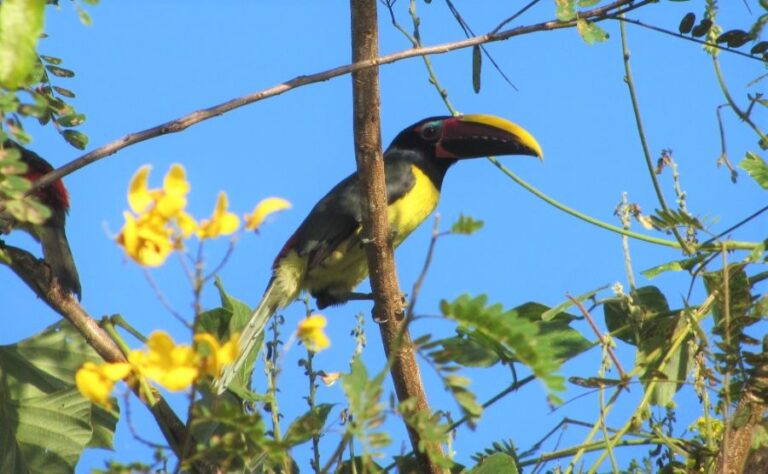 ecoadventures-atrativo-143-004-2_GD-