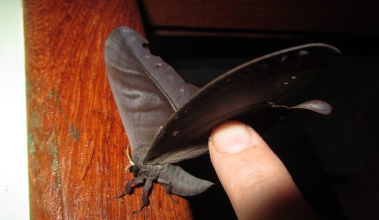 ecoadventures-atrativo-143-011_GD-