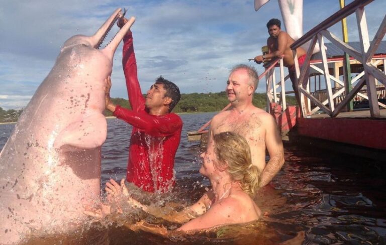 ecoadventures-atrativo-143-12650838_1739017279661272_5042527197843512063_n_GD-