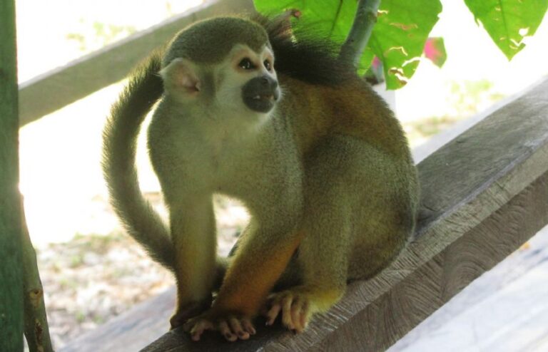 ecoadventures-atrativo-143-IMG_5802_GD-