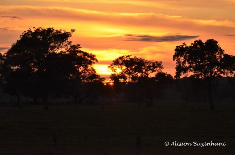 ecoadventures-atrativo-144-DSC_1082 (1024x678)_GD-