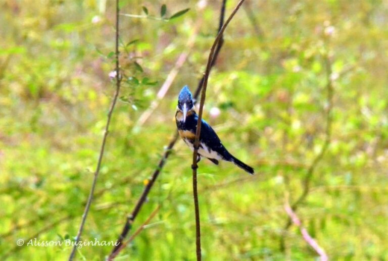 ecoadventures-atrativo-144-DSC_1266 (1024x689)_GD-