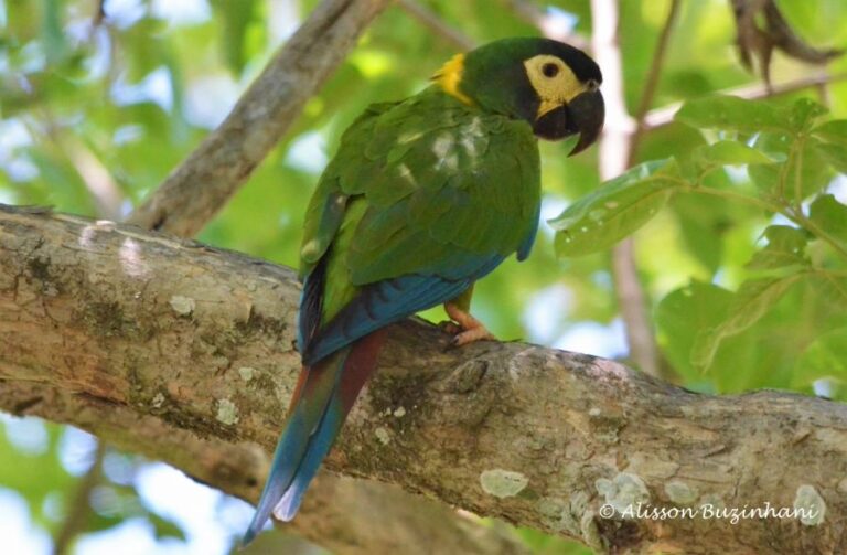 ecoadventures-atrativo-144-DSC_2122 (1024x670)_GD-