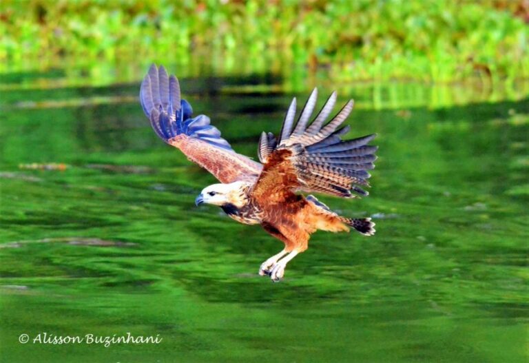 ecoadventures-atrativo-144-DSC_2346 (1024x702)_GD-