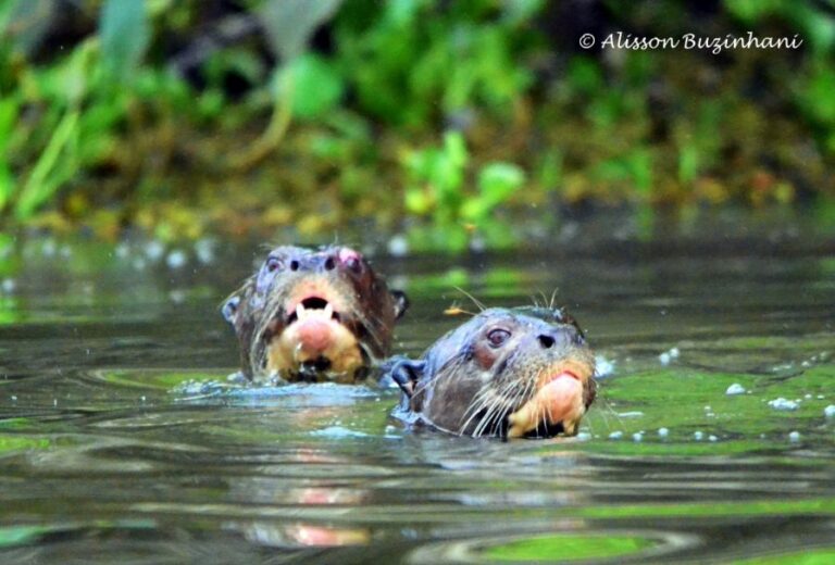 ecoadventures-atrativo-144-DSC_2539 (1024x693)_GD-