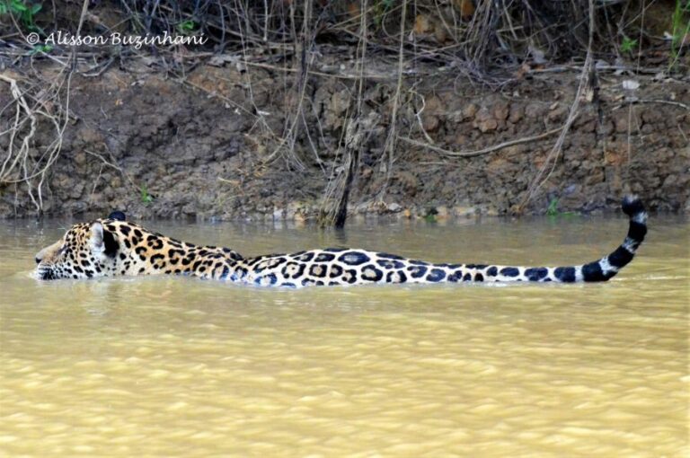 ecoadventures-atrativo-144-DSC_2775 (1024x680)_GD-