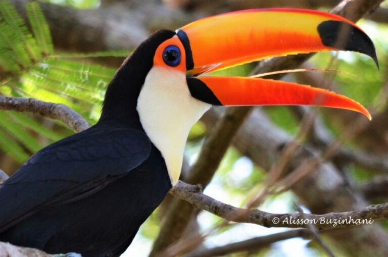 ecoadventures-atrativo-144-DSC_2950 (1024x678)_GD-