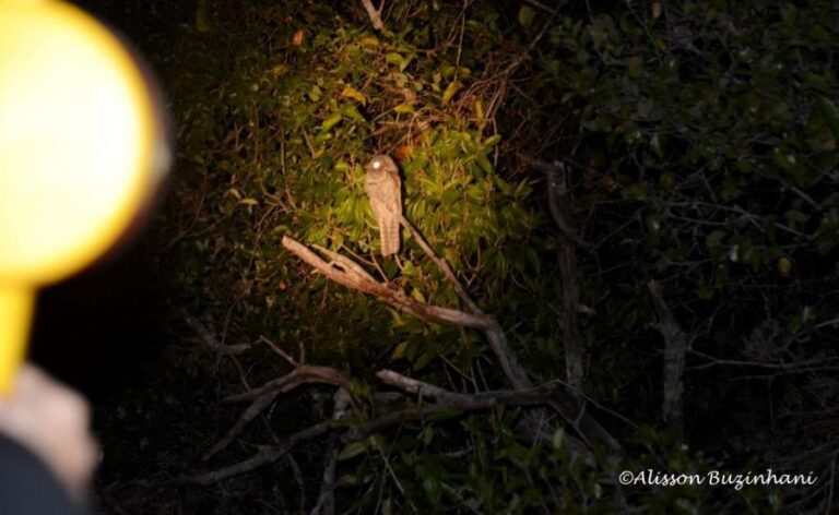 ecoadventures-atrativo-144-DSC_7545_GD-