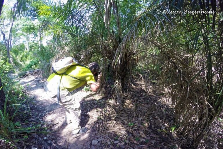 ecoadventures-atrativo-144-G1070179 (1024x687)_GD-