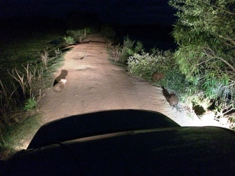 ecoadventures-atrativo-144-IMG_4330 (1024x768)_GD-