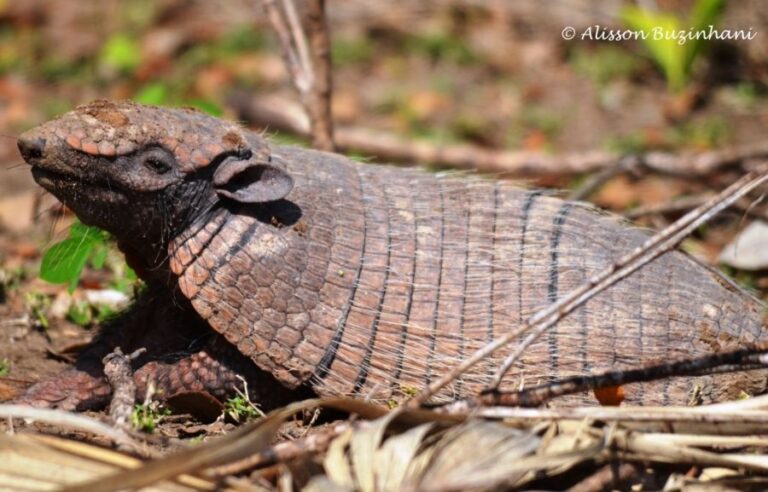 ecoadventures-atrativo-146-DSC_0762_GD-