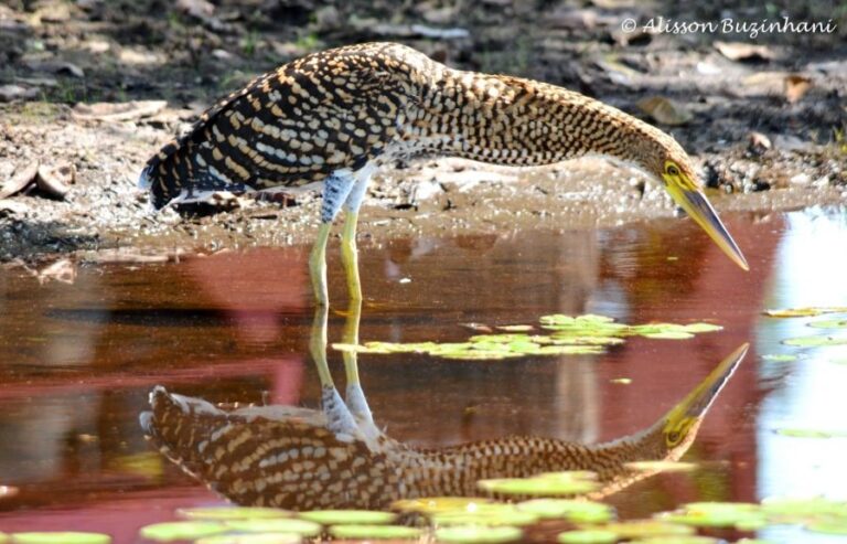 ecoadventures-atrativo-146-DSC_0848_GD-