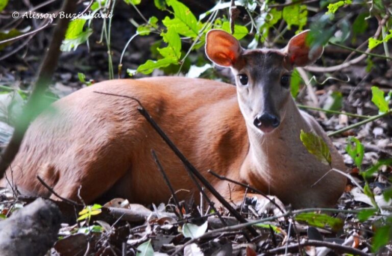 ecoadventures-atrativo-146-DSC_0933_GD-