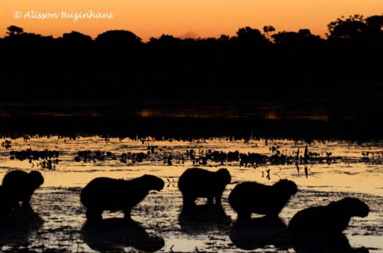 ecoadventures-atrativo-146-DSC_1905_GD-