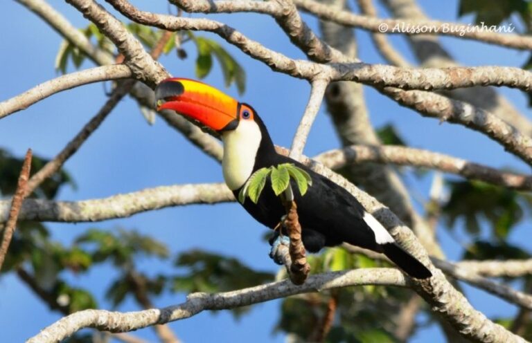 ecoadventures-atrativo-146-DSC_2185_GD-