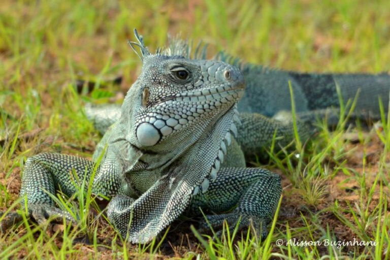 ecoadventures-atrativo-146-DSC_3535_GD-