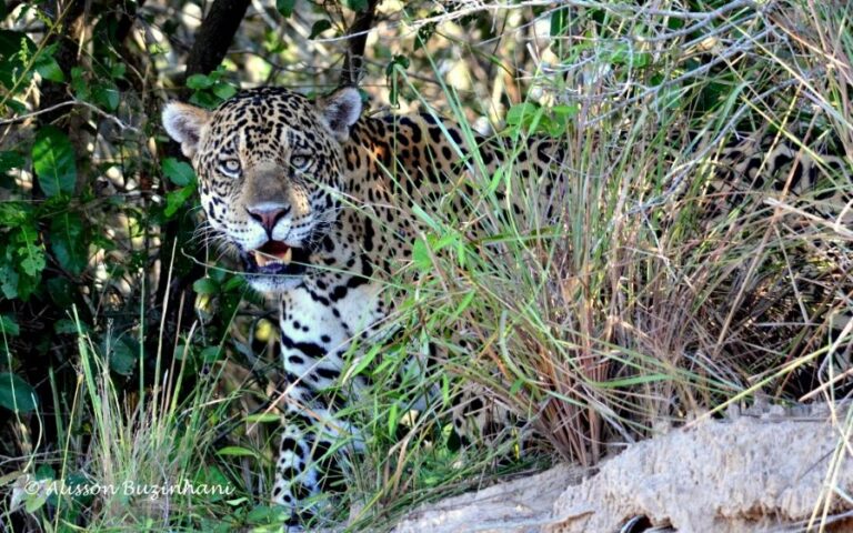 ecoadventures-atrativo-146-DSC_3757 (1024x639)_GD-