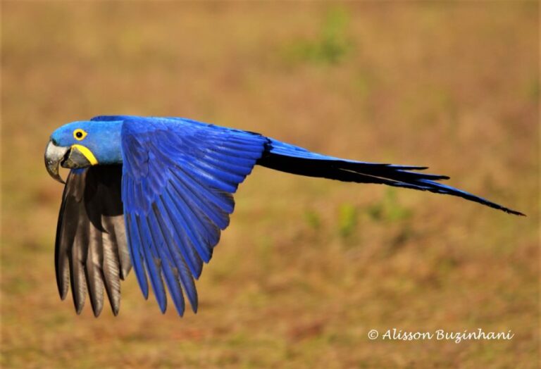 ecoadventures-atrativo-146-DSC_5341_GD-