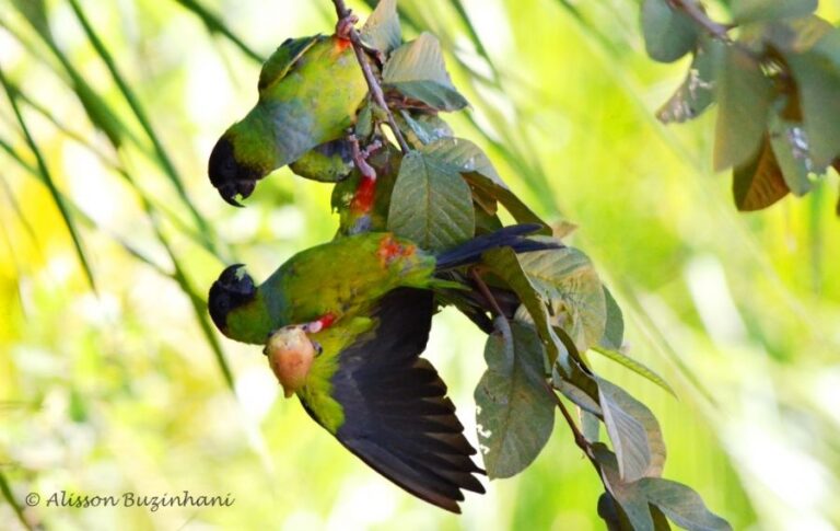 ecoadventures-atrativo-146-DSC_7092_GD-