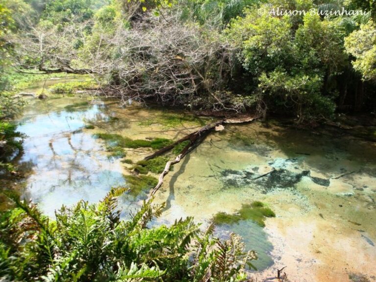 ecoadventures-atrativo-89-DSC01901_GD-