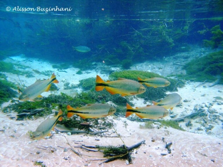 ecoadventures-atrativo-89-DSC01915_GD-